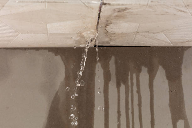Professional Flood Damage Cleanup technician working in Waterloo, SC